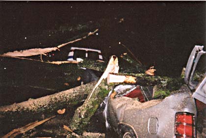 crocodile view of both 23k