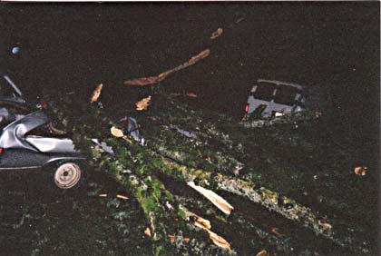 view from sidewalk 21k